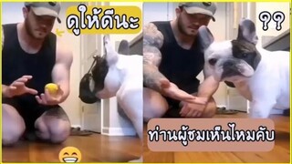 รวมคลิปตลกๆ : มายากลอีหยังนิ!?