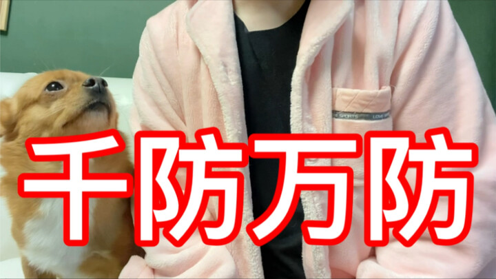 我和哈尼摊上事儿了……