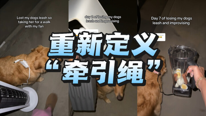 หนึ่งสัปดาห์ที่พาสุนัขเดินเล่นแต่หาสายจูงไม่เจอ: