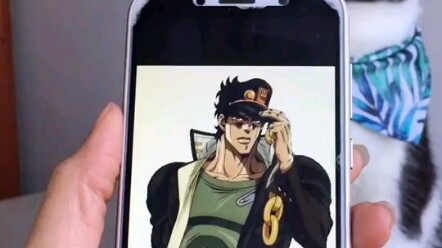 คูโจ โจต้า แคท