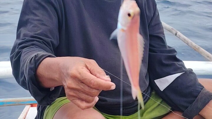 3 hooks 3 fish! 🐟🐠