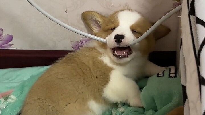 I recommend keeping a useless thing at home!