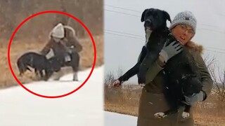 Rescue Journey, An injured pregnant dog gets abandoned in an ice storm