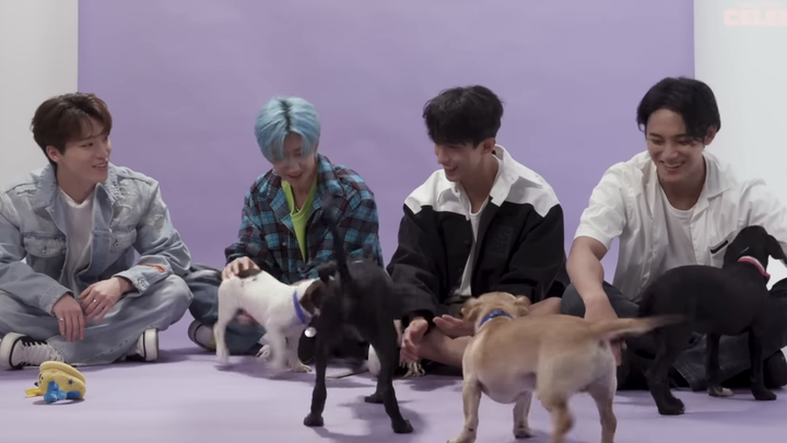 【Dịch Anh - Trung có phụ đề】【SEVENTEEN】Phỏng vấn chú chó của 97s+ với món ăn vặt “The Puppy Intervie