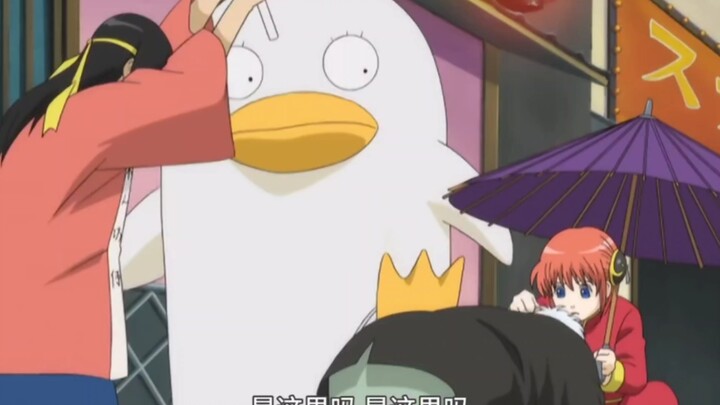 【银魂】可见卡紫拉是银桑真兄弟，从不落井下石