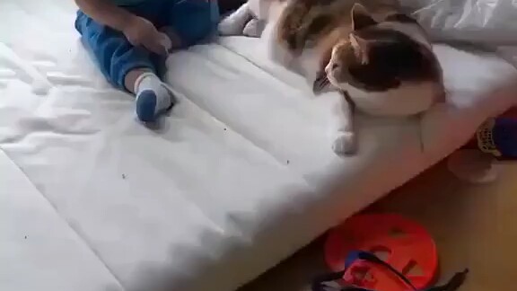 Ayo, berbaringlah di atasku!