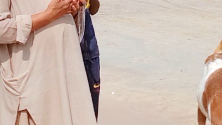 mere maula mujhe Dena ho se maaf farma