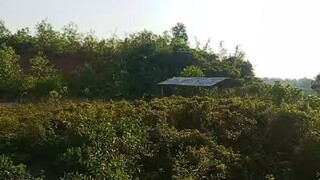 সুখের লাগি মম হৃদয় বিধ্বস্ত করিয়া আজ আমি কলঙ্কিত