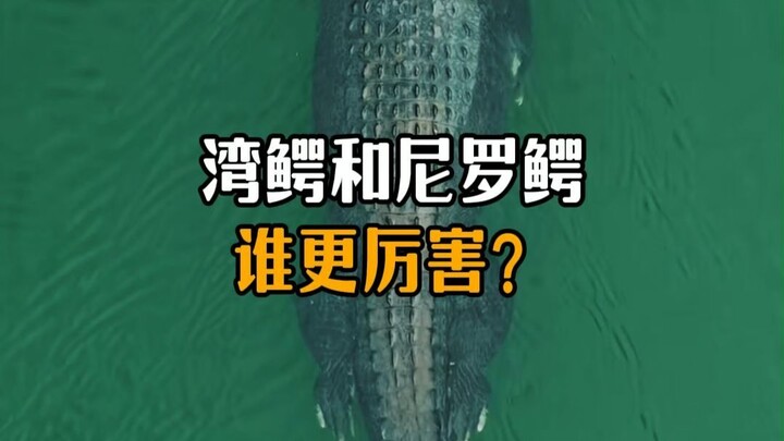 Which is the true king of crocodiles: the saltwater crocodile or the Nile crocodile?