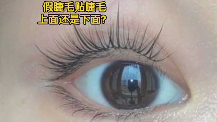 ติดขนตาปลอมไว้ด้านบนหรือด้านล่างดีนะ❓❗️มาเรียนรู้วิธีนี้กันเลย‼️
