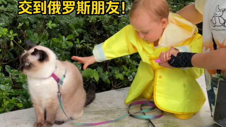 เพื่อนๆ ของแมวโลจิกมาจากทั่วโลก!!