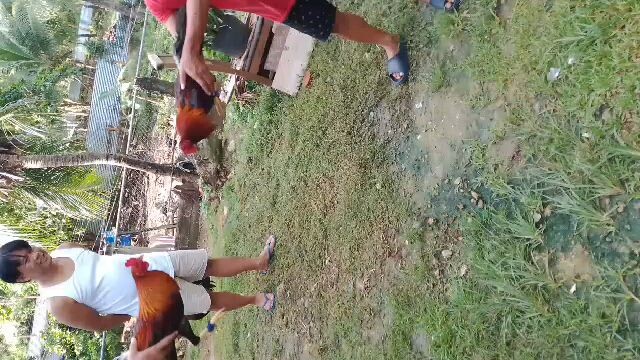 3th spar🥰,sweater vs brown red,kinuha agad muntik na madisgradya