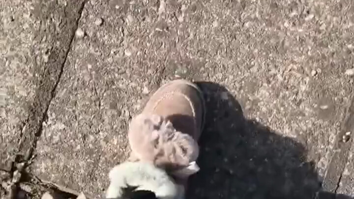 ชั้นฉนวนกันความร้อนบนหลังคาไม่เหลือแม้แต่ชิ้นเดียว