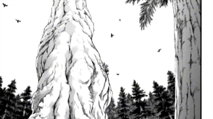 Allen, you idiot! ! ! I thought you...had...[sobbing]
