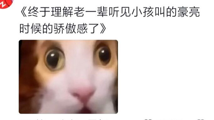 เมื่อคุณคุยโทรศัพท์กับน้องแมว น้องแมวก็ตอบกลับคุณทุกคำ!