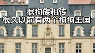 狗狗王国