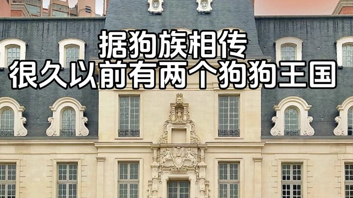 狗狗王国