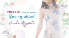 Kanako Miyamoto - True Ambition!