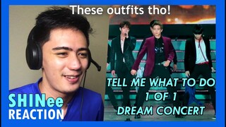 [FRIDAY w/ SHINee] Tell Me What To Do & 1 of 1 LIVE Super Seoul Dream Concert 2016 REACTION!!