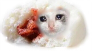 Barbecued pork buns with cat, but in Cantonese
