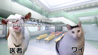 【猫meme】一个月得了三次星病的故事