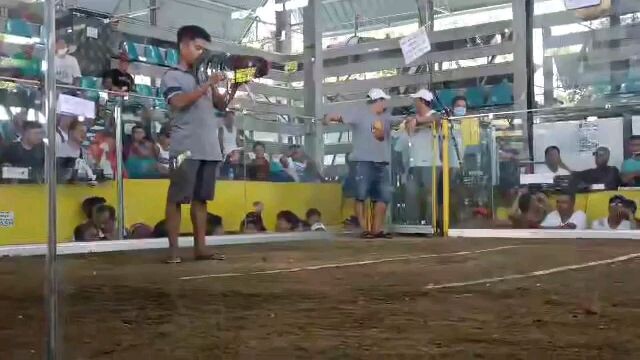 perfection kilso  champion 2hits