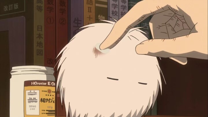 【Natsume】|"Dia berbulu sekali, jadi sebut saja dia Furball."