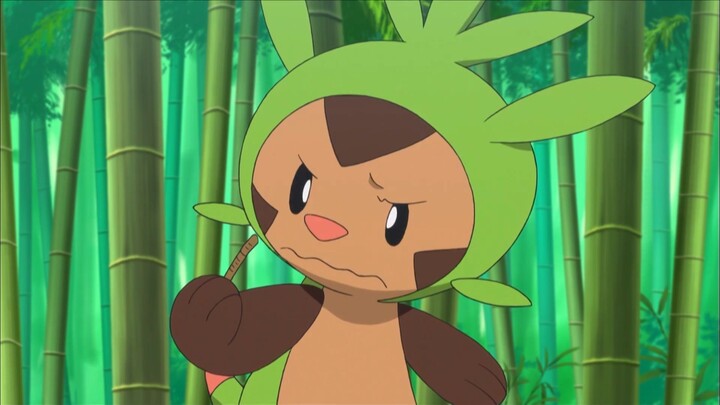 [VIEDUB] POKÉMON XY - TẬP 11: CUỘC TRUY ĐUỔI TRONG RỪNG TRE! YANCHAMU VÀ GORONDA!