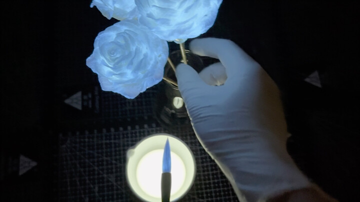 زهرة الورق: «الوردة المضيئة»