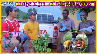 Đưa Giống Mít Việt Nam Trồng Thử ở Bản Nông Nghiệp - Trồng Cây Ăn Quả