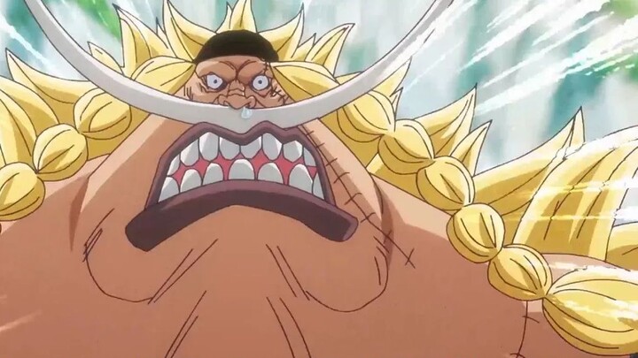 [One Piece] Beri tahu Anda tentang putra Shirohige dalam satu tarikan napas! Dia adalah Shichibukai 