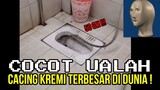 50 CM, CACING KREMI TERBESAR DI DUNIA ❗❗| CHOCHOT UALAH 105