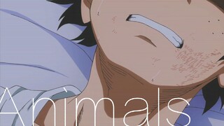 [AMV|My Hero Academia]Katsuki Bakugo & Izuku Midoriya|Animals