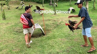 RichGin Ranch Gilmore pangdiin