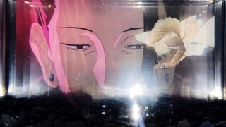 Episode kedua "呪呪小鱼"丨Xiaowu juga ingin berenang