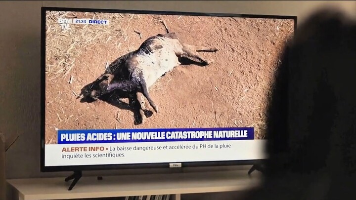 عندما كانت الفتاة تشاهد الأخبار، اكتشفت أمراً مروعاً: تم العثور على كمية كبيرة من الأمطار شديدة التآ