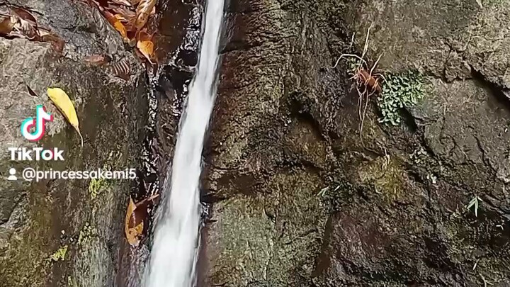 Aritao Nueva vizcaya