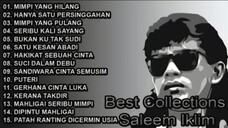 Best of Saleem iklim , lagu Malaysia