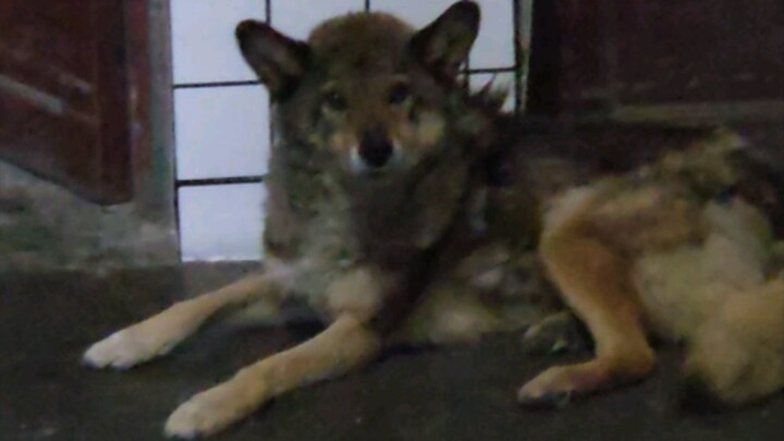 لم ترَني منذ شهرين: من الارتباك التام إلى التعرّف الناجح!