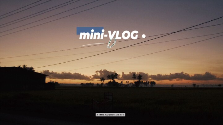 mini-VLOG Running