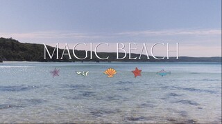 Magic Beach 2024 الترجمة العربية