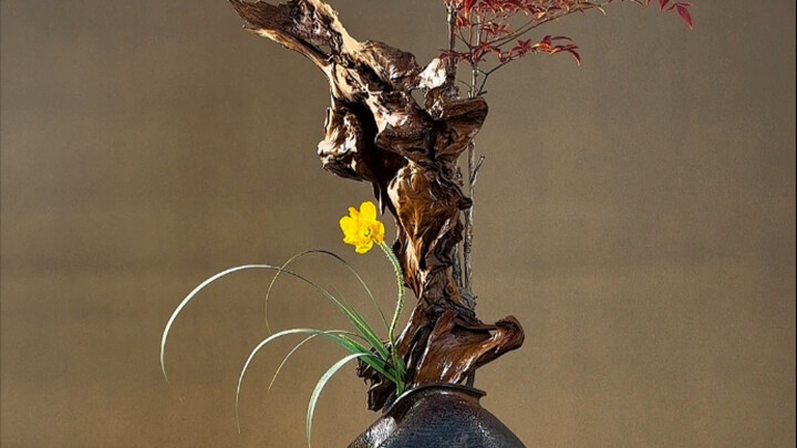 It’s not just flower arranging—it’s the elegance ingrained in the bones of Eastern people! #Expediti