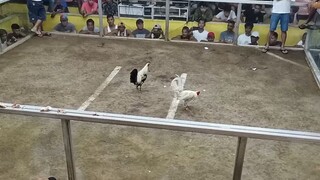 GALING Ng pauna kaso inde nka puro ng patama ...galingan pa ntin..# "D"MONT BACKYARD