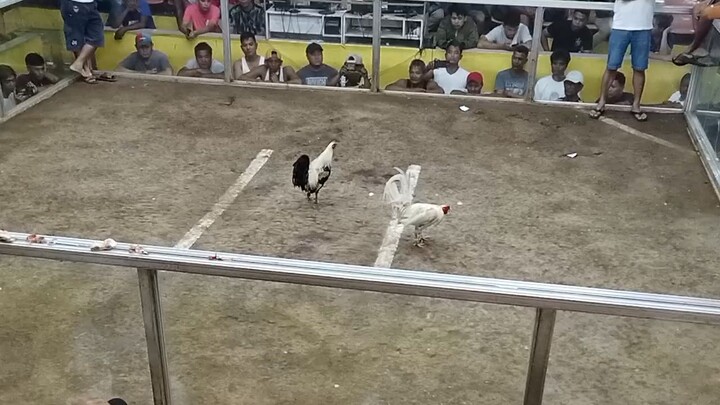 GALING Ng pauna kaso inde nka puro ng patama ...galingan pa ntin..# "D"MONT BACKYARD
