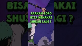 Apakah Zoro Bisa Memakai Shusui Lagi ❓ | One Piece #shorts