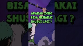 Apakah Zoro Bisa Memakai Shusui Lagi ❓ | One Piece #shorts