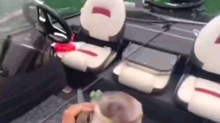 Notes on Small Food and Phlegm