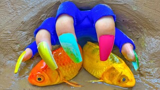 Menangkap ikan koi dengan tangan   katak besar, buaya dan Lego IRL Memasak Primitif Stop Motion ASMR