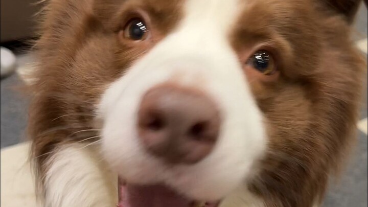 I appease my mother for her emotions and annoy my father for my pleasure.