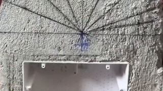 6.5 Kelahiran kembali sebelum ujian masuk perguruan tinggi, aku menyaksikan dengan dingin ketika par